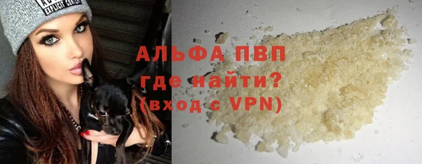стафф Алзамай