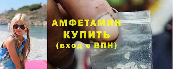 стафф Алзамай