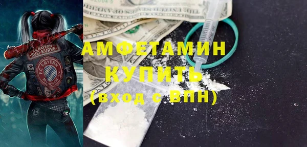 метадон Алексин