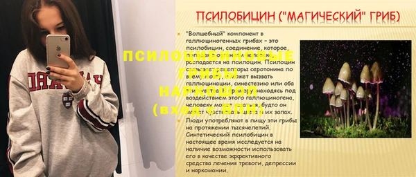 метадон Алексин
