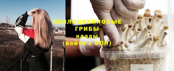 метадон Алексин