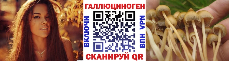 Псилоцибиновые грибы ЛСД  Североуральск 